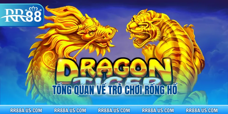 Tổng quan về trò chơi rồng hổ